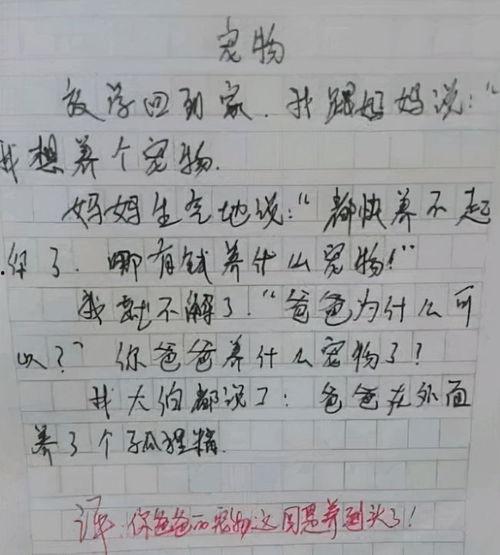 吃瓜作文500字,一瓜在手，笑谈世间万象